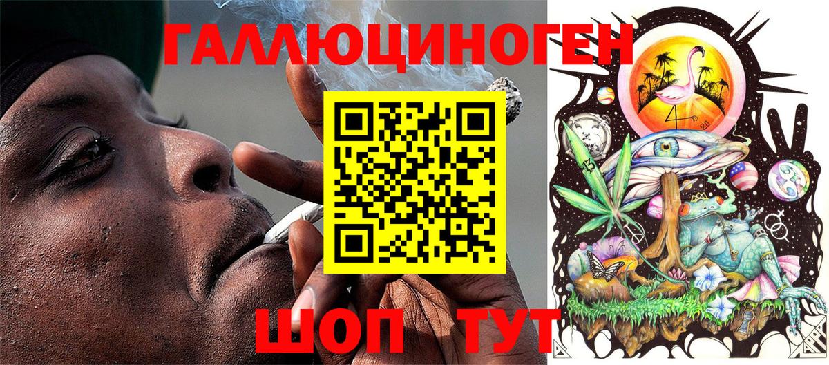 Псилоцибиновые грибы Psilocybe  Вход с VPN  Волжск 